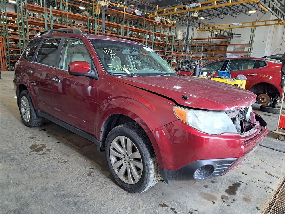 2011 Forester Jack Sku#4228777