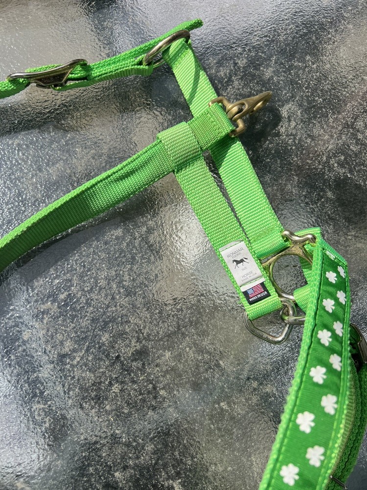 🐴☘️Horse Halter Nylon With Matching Lead Unique