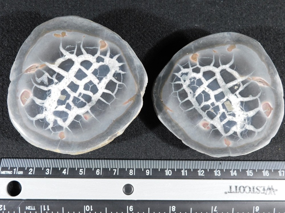 Neat! Lighting Like Pattern! Split and Polished SEPTARIAN Nodule Morocco 368gr