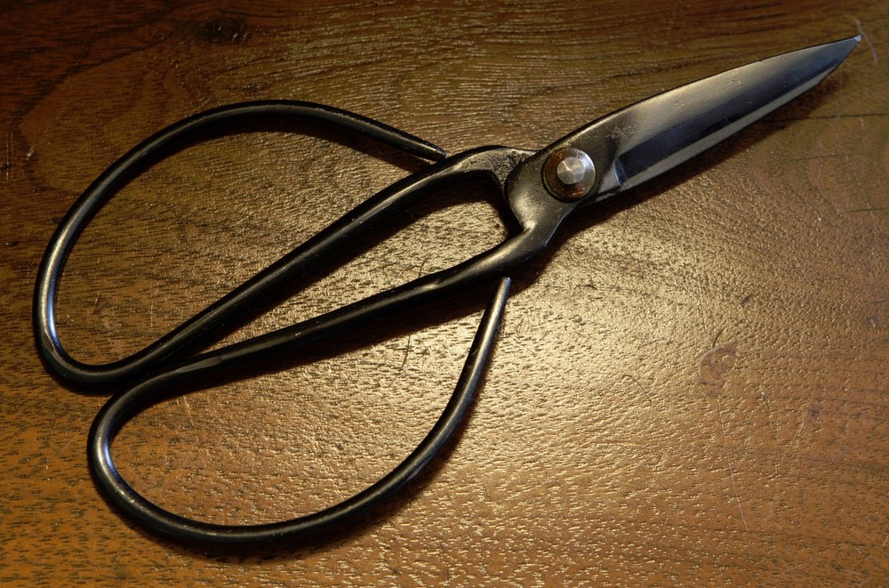 Antique Florist's Scissors