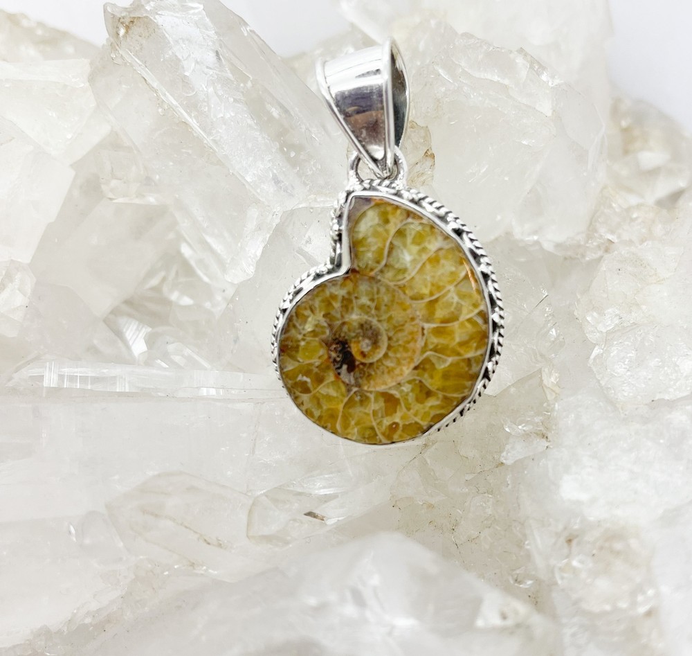 Ammonite Pendant $90