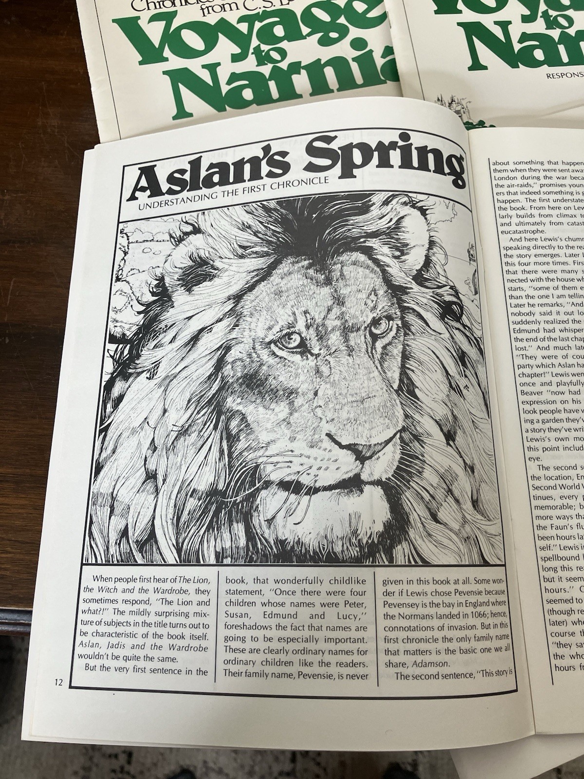 Vintage 1978 Voyage to Narnia Curriculum Set David C Cook C.S. Lewis Map Book +