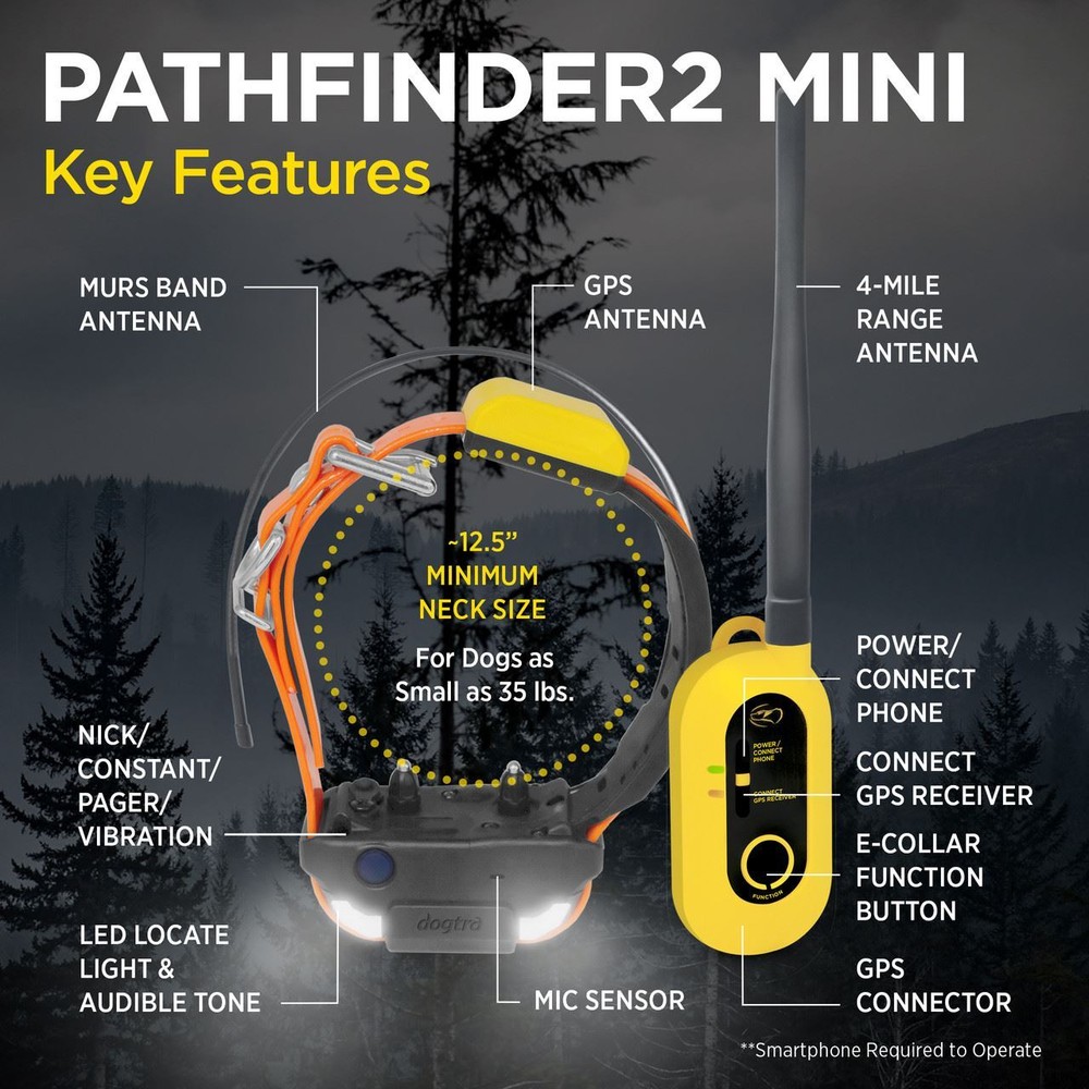 Dogtra PATHFINDER2 MINI GPS Tracking + Training E-Collar SmartPhone Control
