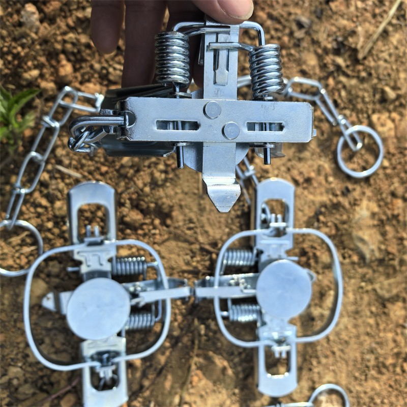 3 Packs Coil Spring Traps Raccoon Mink Muskrat Trapping Nuisance Hare Rat Nutria