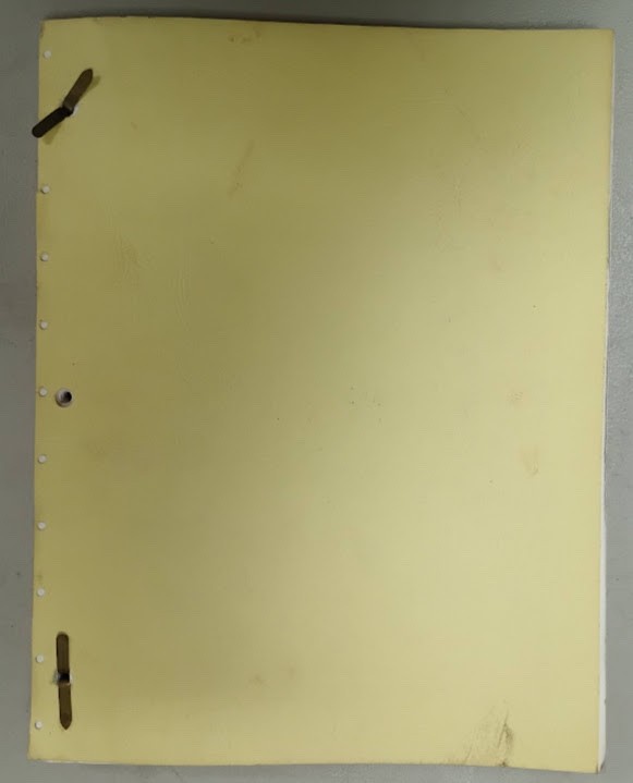 2 Vintage Original Scripts The Chicken Chronicles 1st & 2nd Draft Paul Diamond