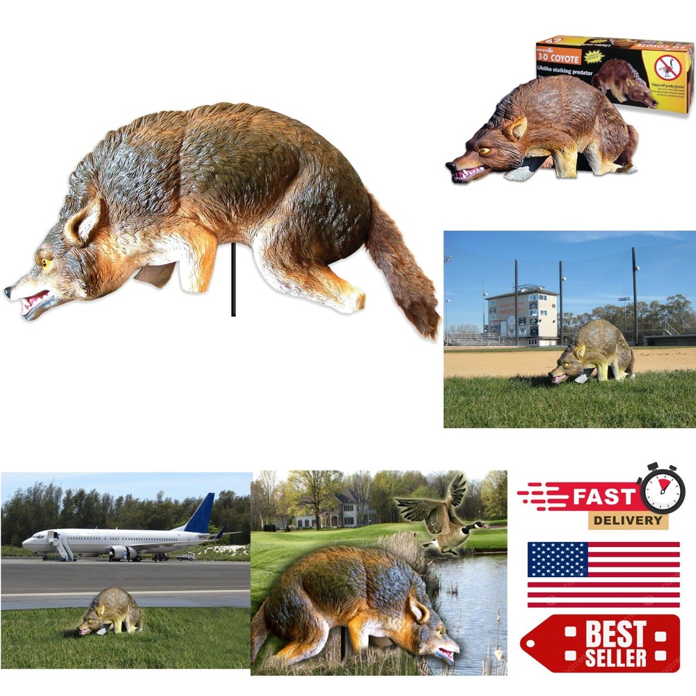 3D Lifelike Predator Decoy: Moving Tail & Realistic Features for Bird Control