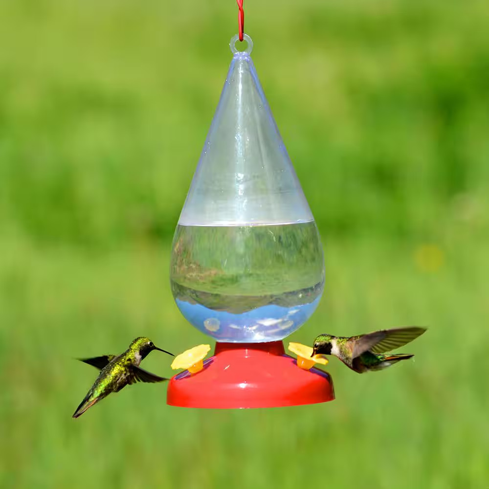 Dew Drop Plastic Hummingbird Feeder - 32 Oz. Capacity