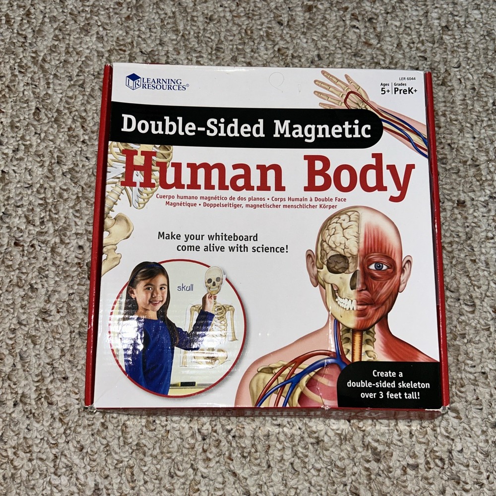 Learning Resources Double-sided Magnetic Human Body ,