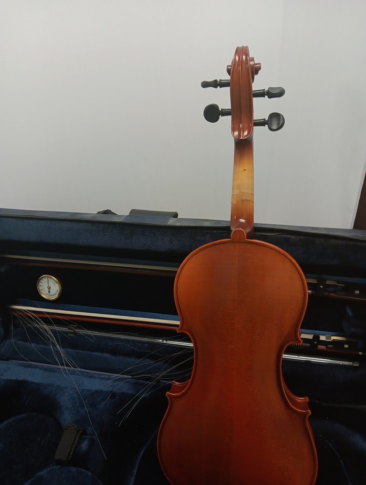 Bucharest Violin And Case