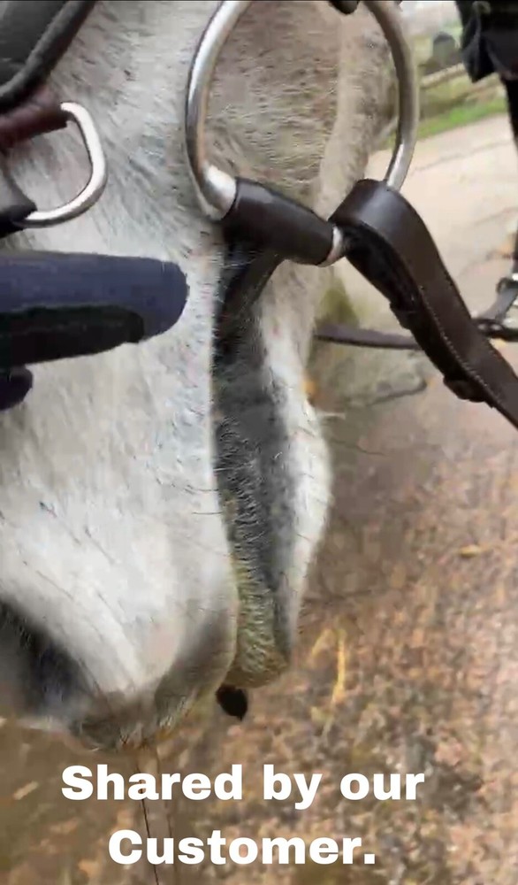 Sweet Iron Eggbutt Snaffle Bit Copper Lozenge (UKSALES25®) *SAME DAY DISPATCH*