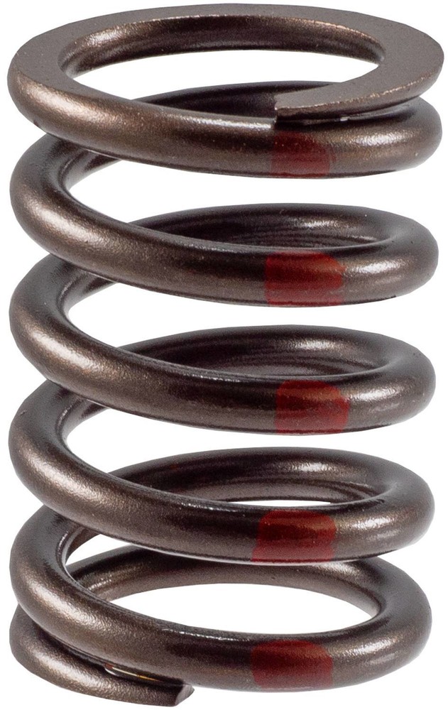 Engine Valve Spring-Stock Melling VS-2215