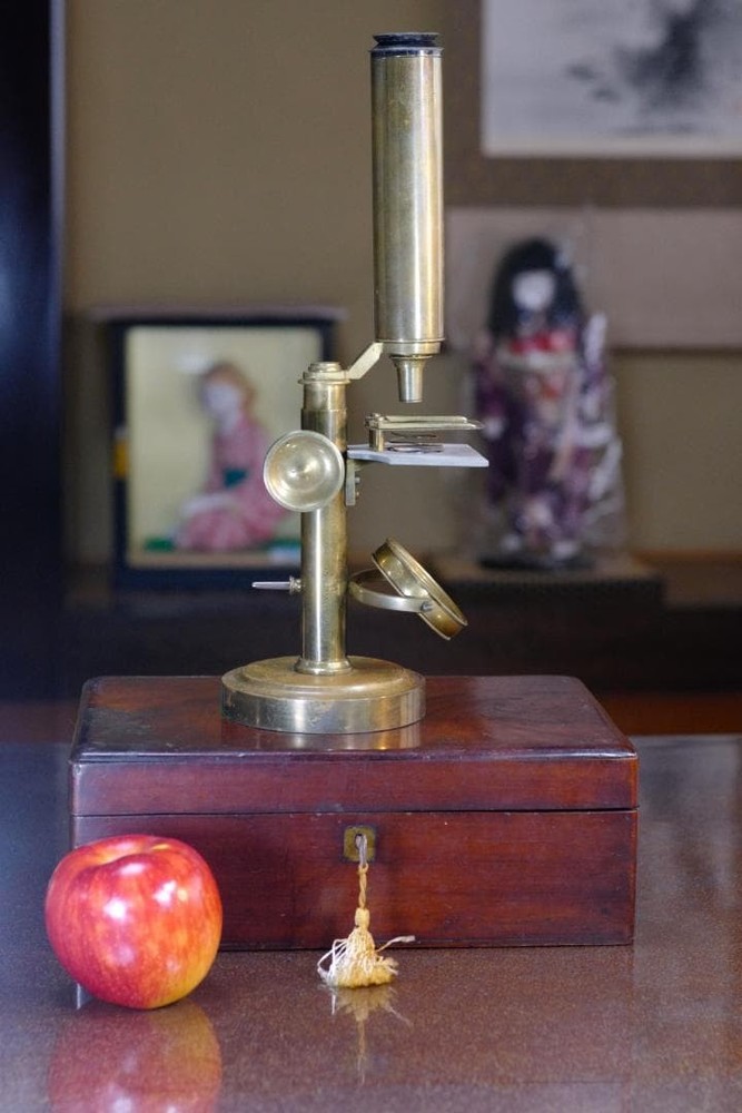 microscope antique collectible Peter Dolond's achromatic microscope