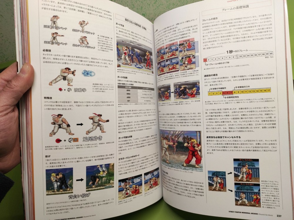 Street Fighter Beyond The World