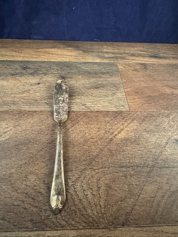 Master Butter Knife Wm Rogers & Son Exquisite Pattern Silverplated