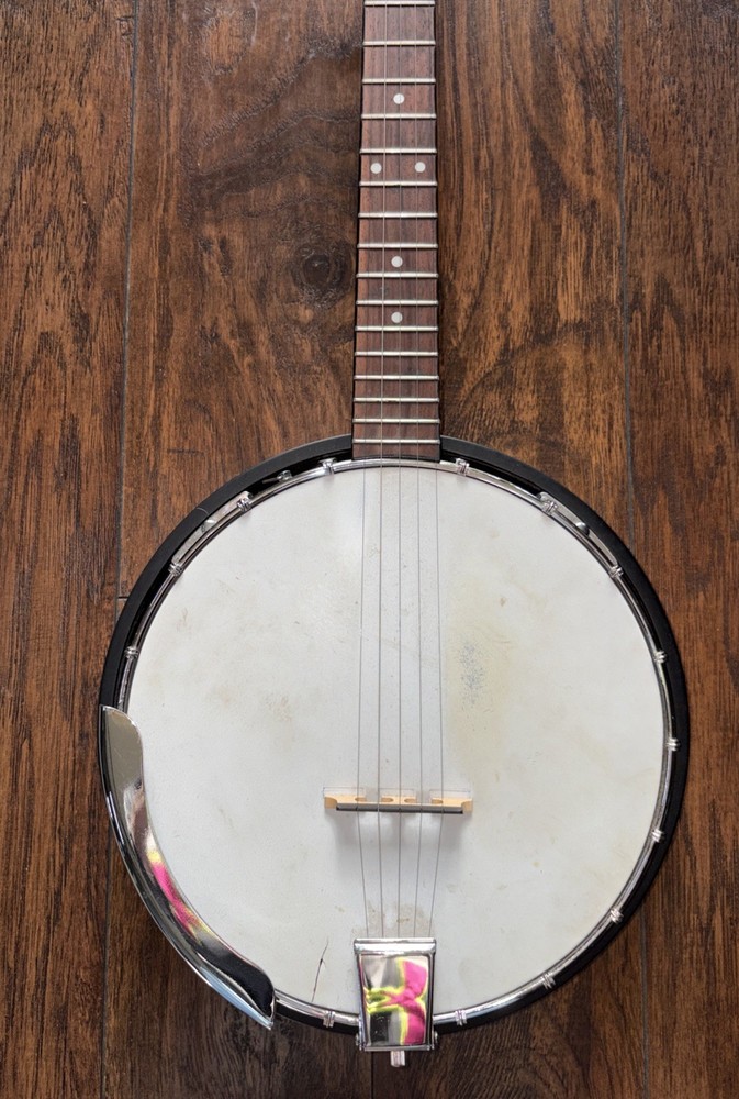 Fender 5 String Banjo & Bag Used