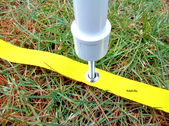 Dog Agility Equipment Premium Quality Starter Set for beginners! ⭐⭐⭐⭐⭐