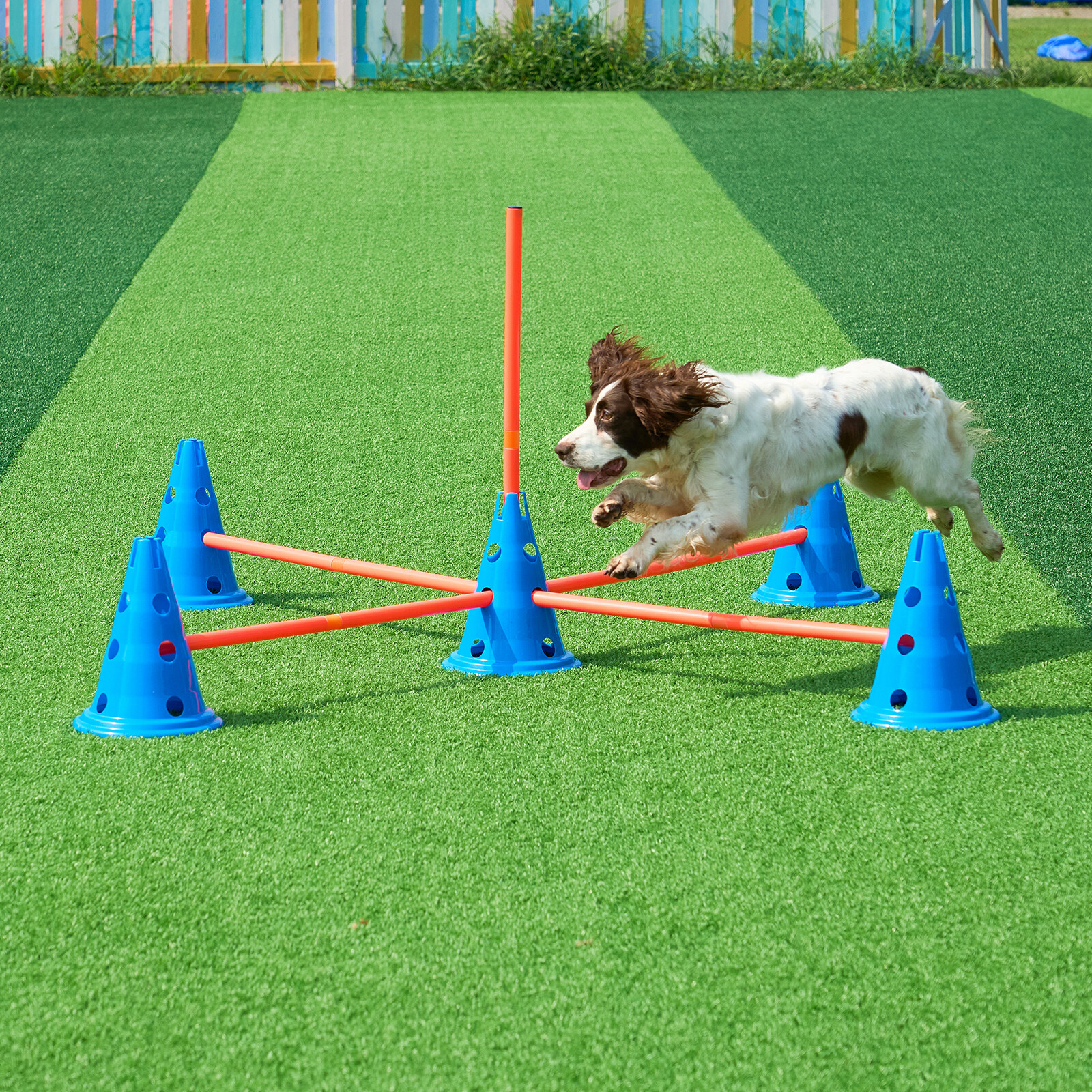 Dog Agility Training Hurdle Cone Set 6 PCS Kit-12 xCones 6 xAgility Rods w/ Bag