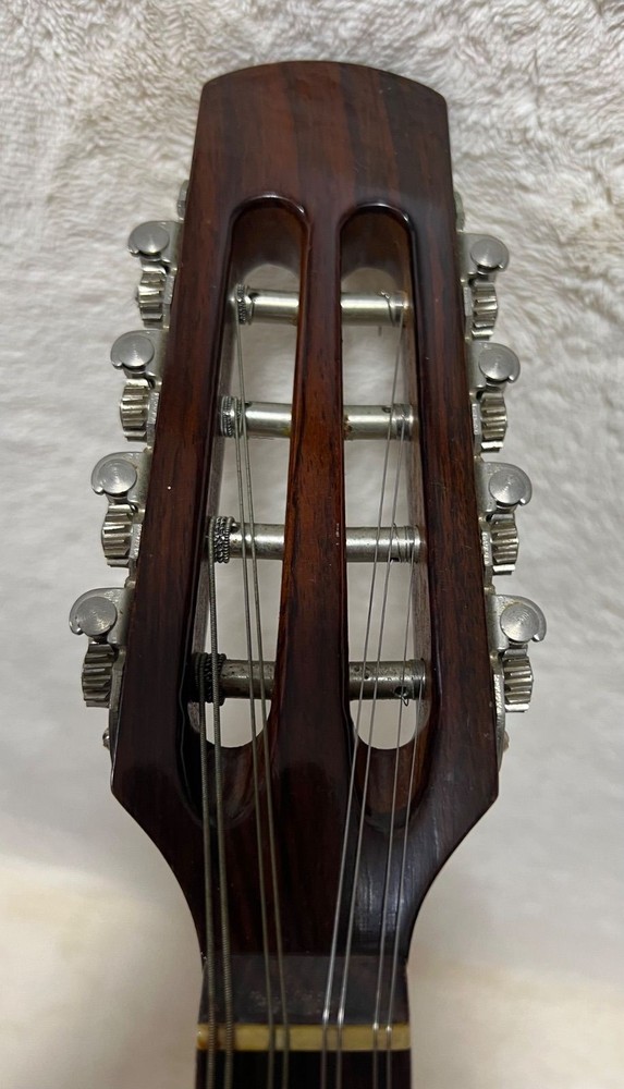 SUZUKI Mandolin M-30 with hard case