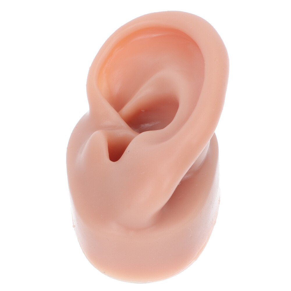 Simulation Human Ear Model ear model for teaching Ear Model Silicone Ears