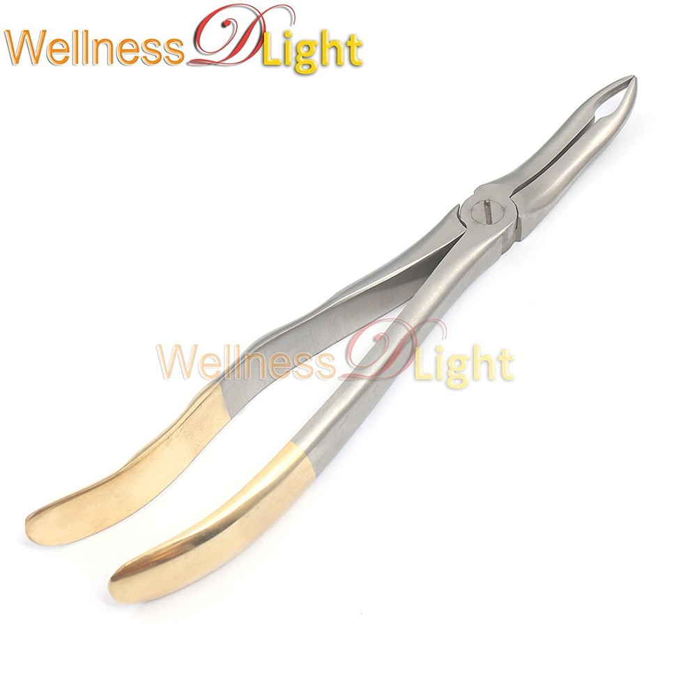 GRADE GOLD HANDLE DENTAL UPPER ROOTS EXTRACTING FORCEPS #44 SPECIAL HANDLE