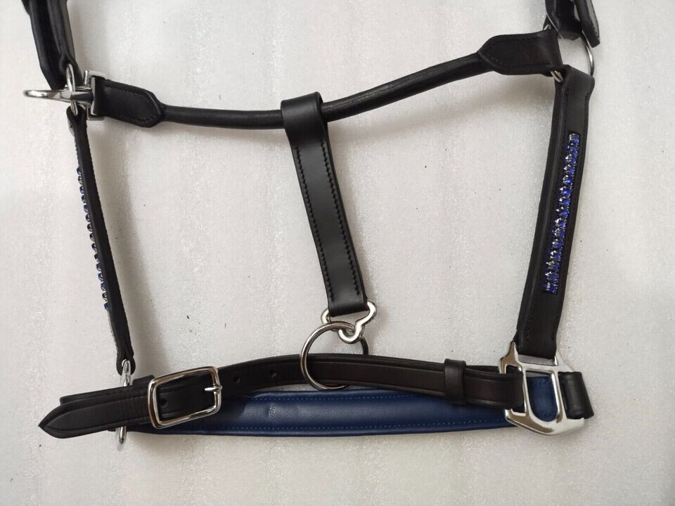Blue Crystal & Padding Leather Halter With S.S. Fitting For Horse.