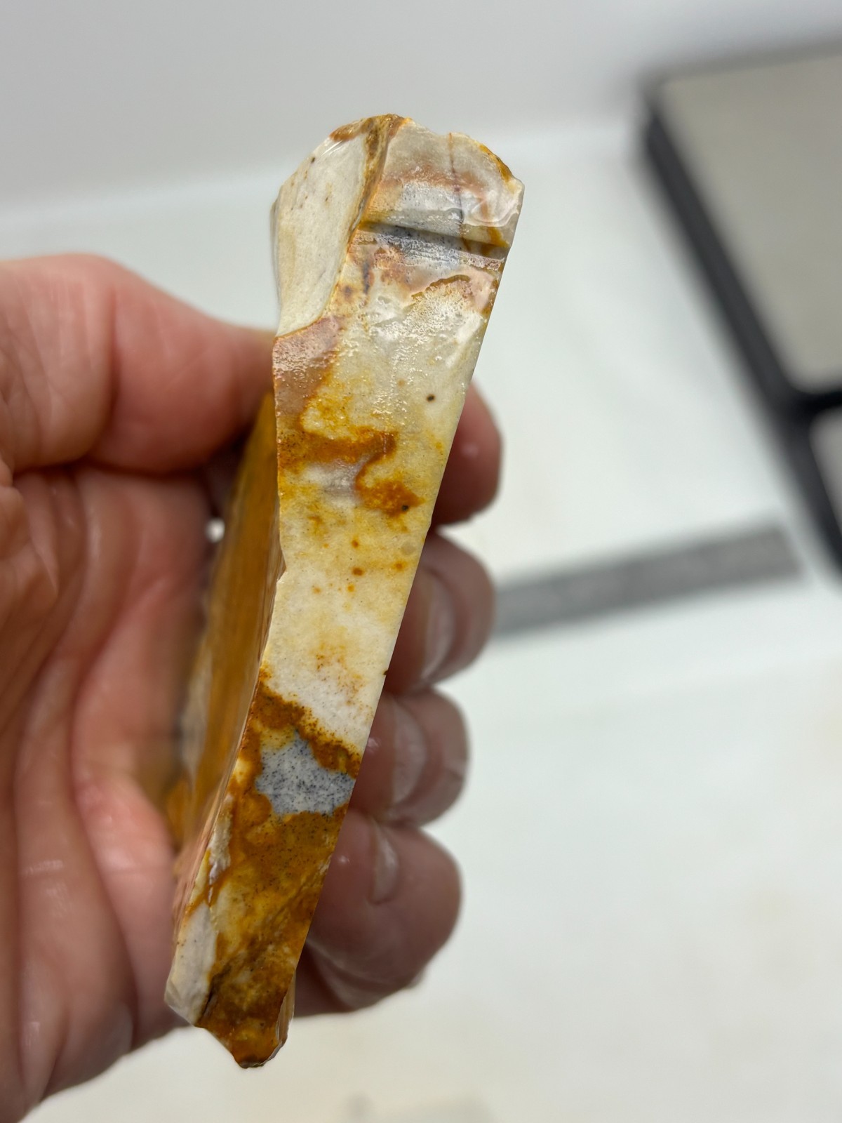 Disaster Peak Picture Jasper end slab Cabbing Lapidary Collecting Combo Ship Avl