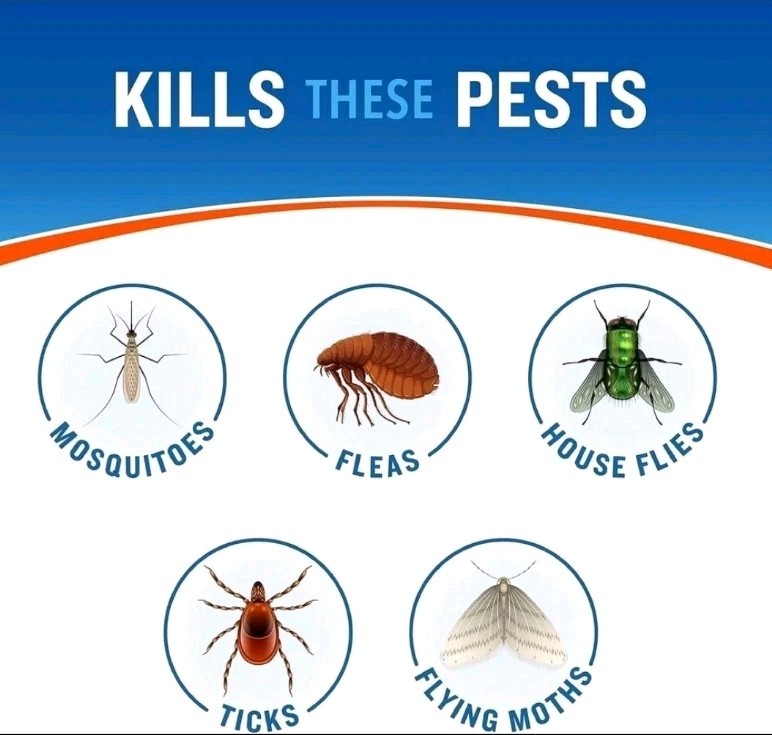 Cutter Backyard Bug Control Spray 3 Pack Kills Mosquitoes Fleas Ants 32.oz Orgin