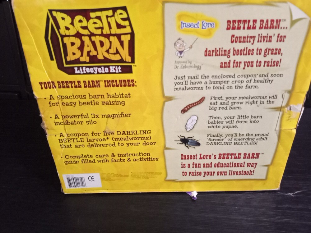 BEETLE FARM Insect Lore Lifecycle Kit
