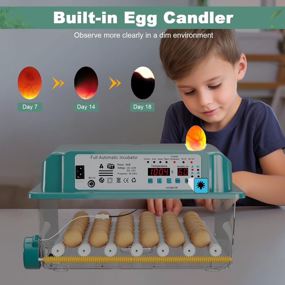 36-Egg Automatic Incubator with Humidity Control and Egg Turning Features