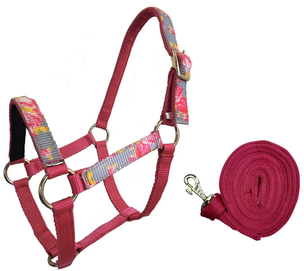 Patterned Nylon Mini Horse Halters with Matching 7’ Lead