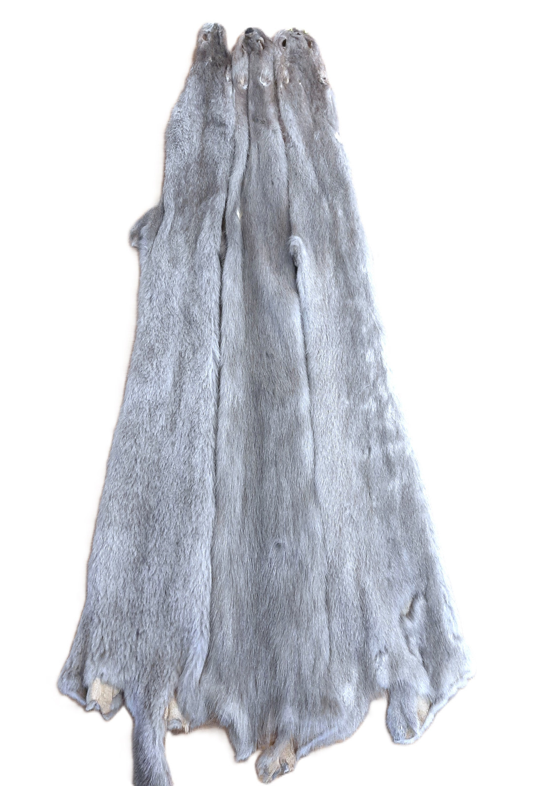 Ranched Mink Pelt, Silver Blue, GORGEOUS