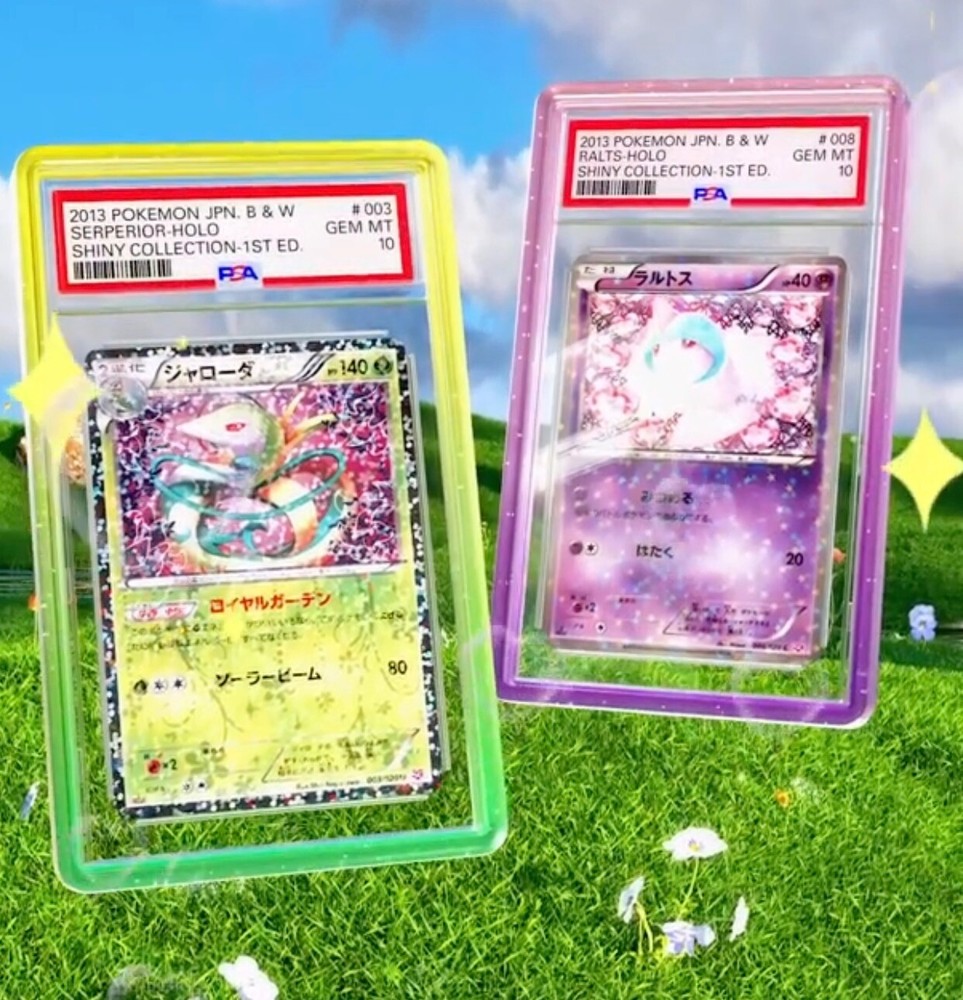 GradedGuard PSA Graded Card Case Guard Protector PYTHON Limited Edition