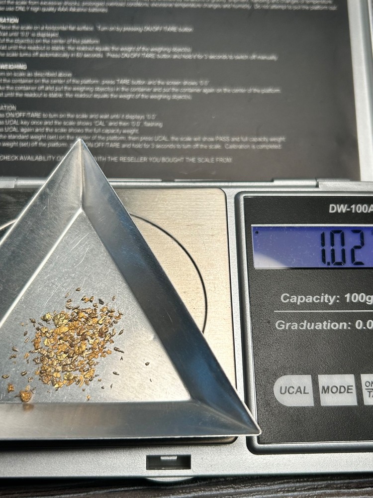 gold nuggets 1.02 gram