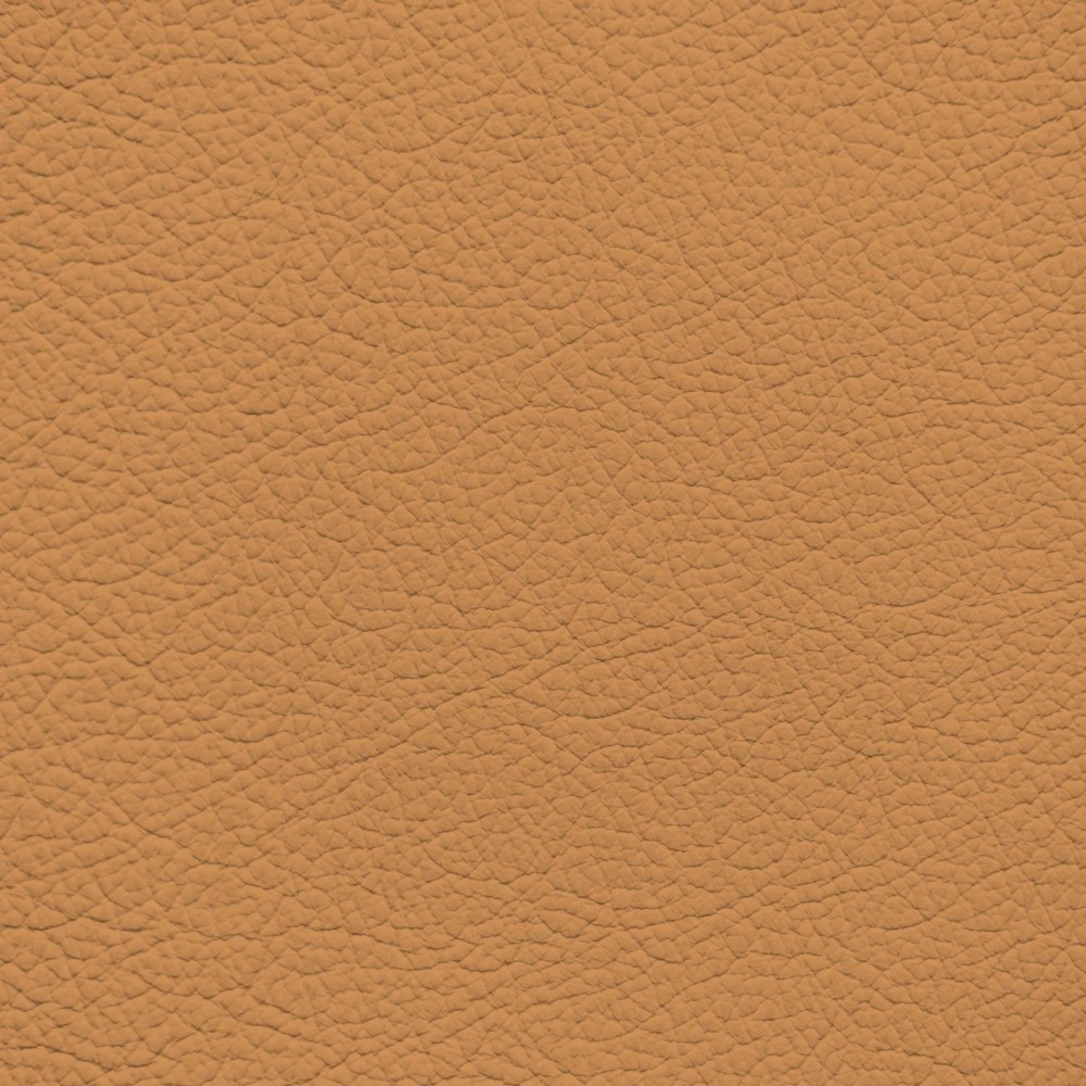 Jaguar Saddle Leather Dye