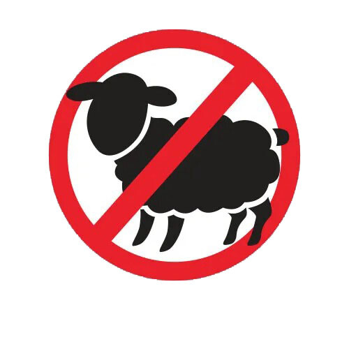 No Sheep Sticker Decal