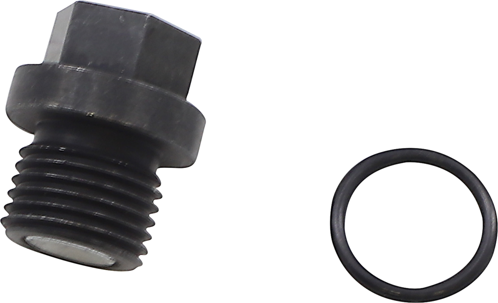 QUAD LOGIC Front Differential Drain Plug and O-Ring 100-2386
