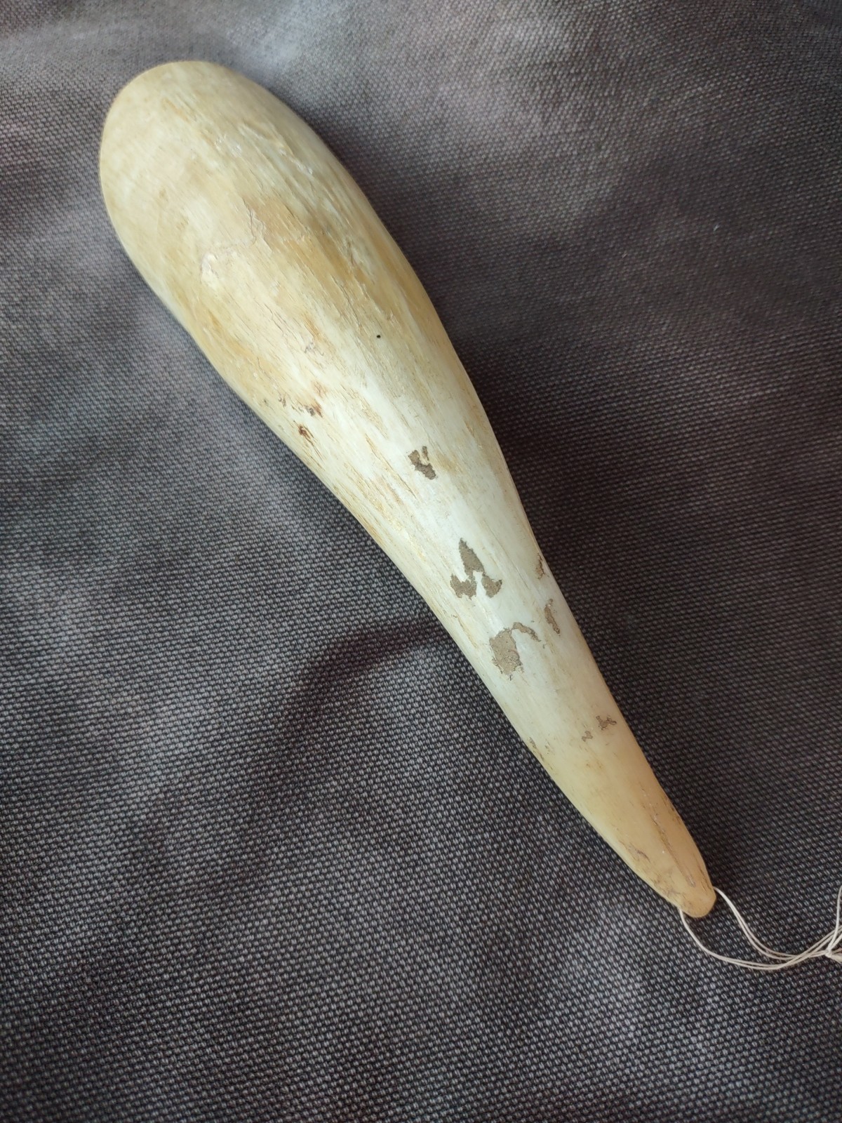 Sioux Sheep Horn Spoon Antique Plains Spoon Goat Horn Scoop Carving 1890