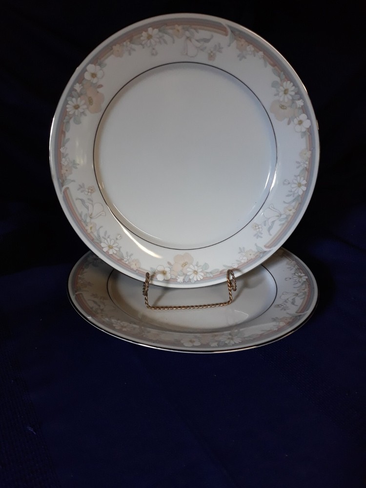Noritake, BROOKSIDE,   2 Dinner Plates