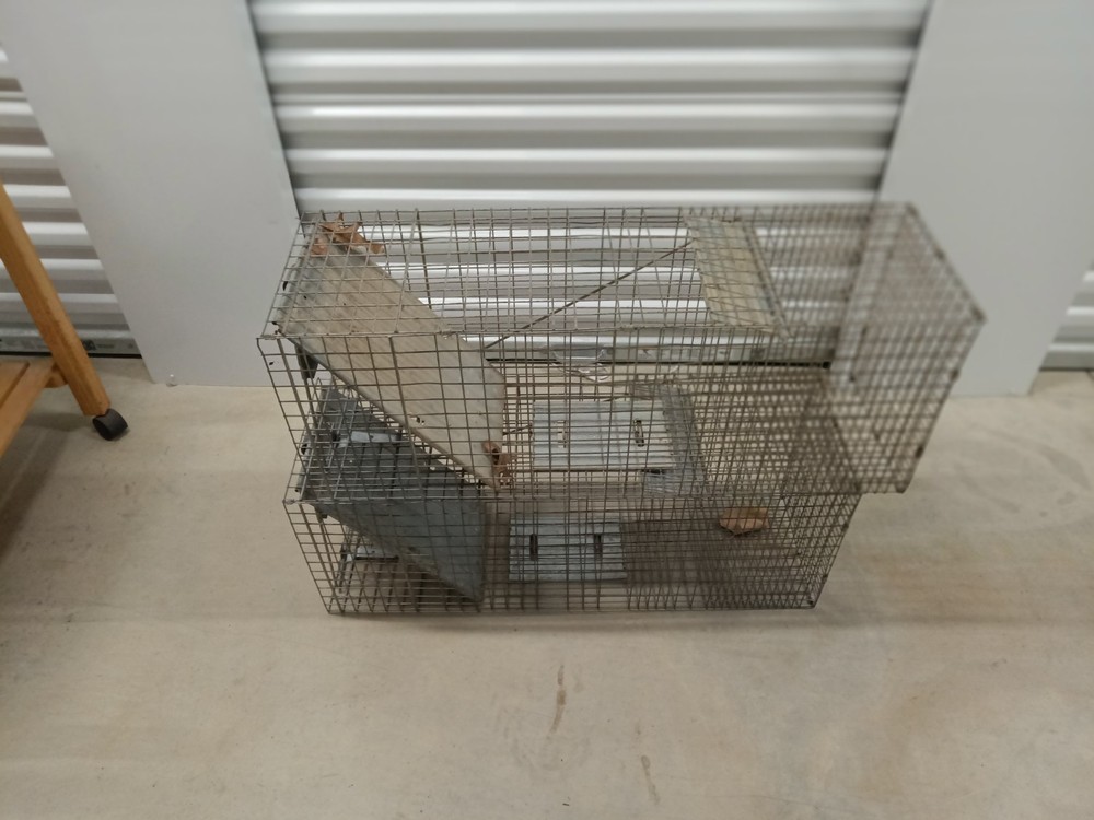 Metal Wire Catch Trap Cage Reusable Silver for Rat Mouse Squirrel