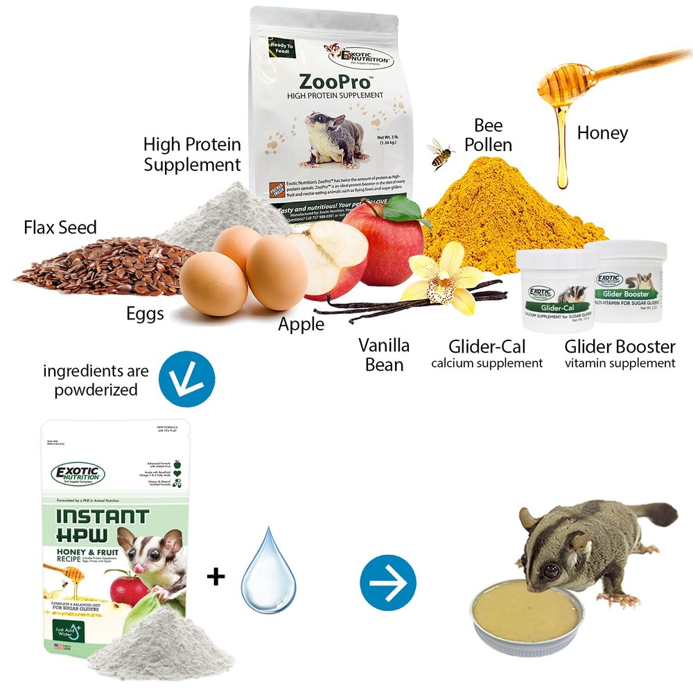 Congo Cage & Starter Package for Sugar Gliders
