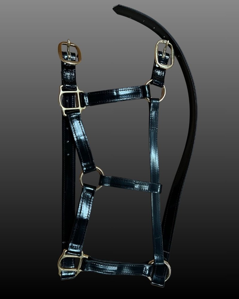 Auscoat PVC Headstall - Solid Brass - Warmblood, Draft -16 Colours