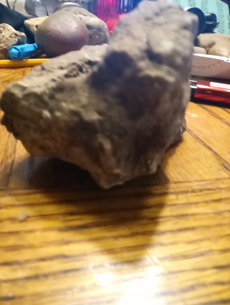 Fossils