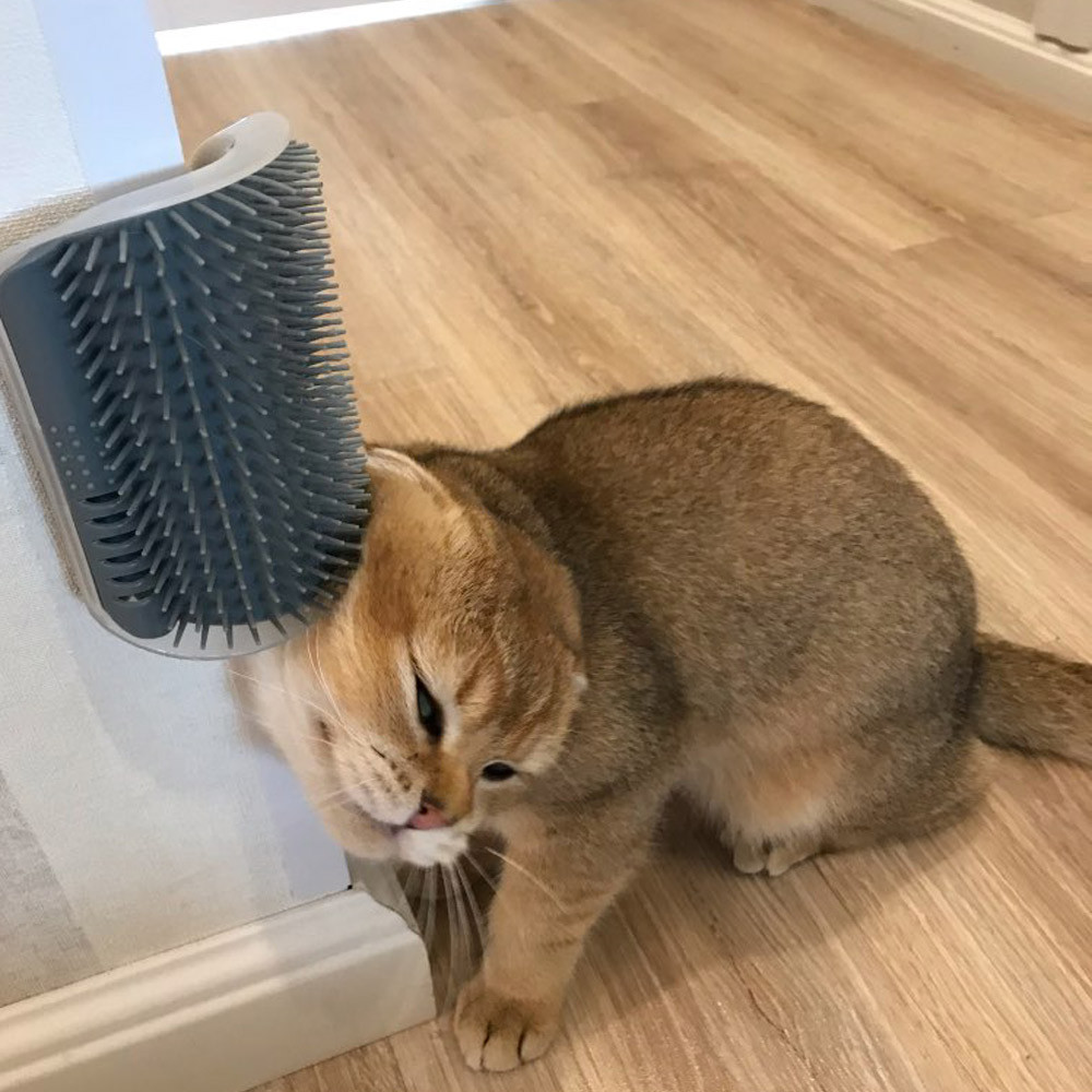 The Cat Groomer | Cat Massager