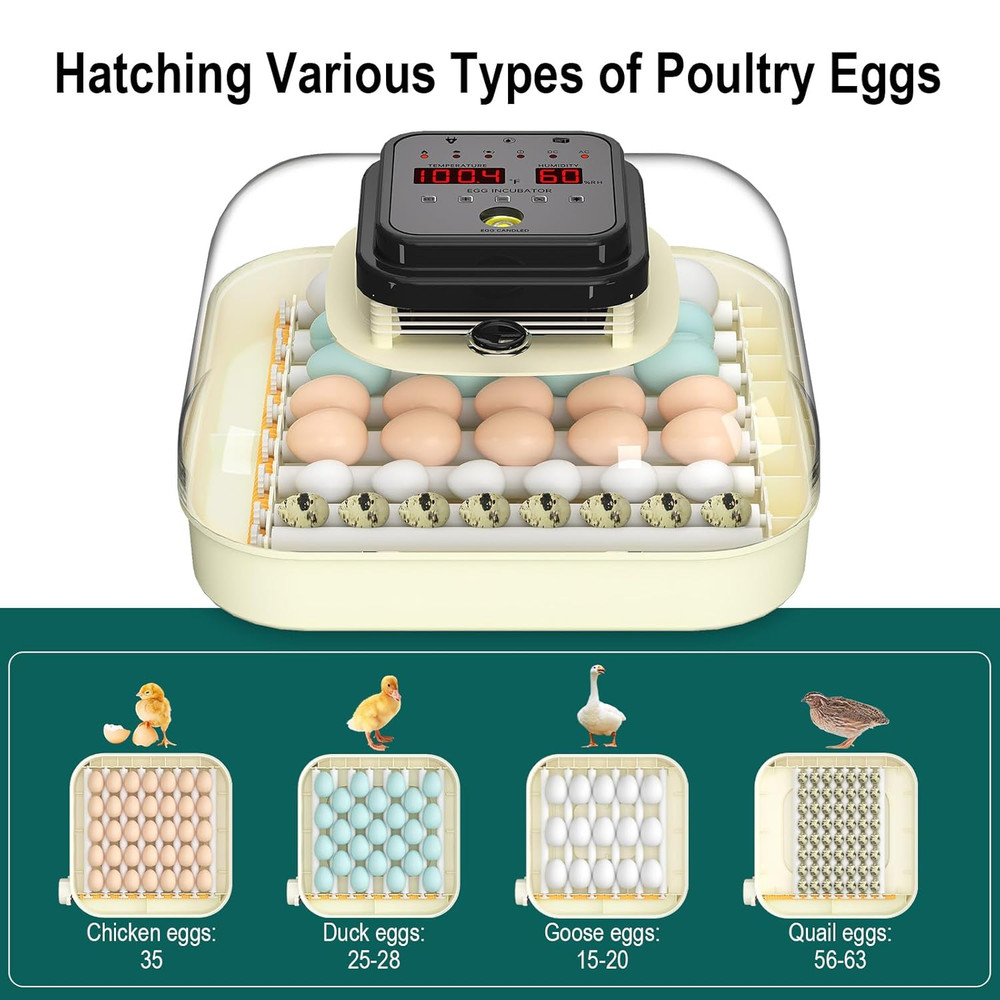 Automatic 35 Egg Incubator with Humidity Control & Egg Candler for All Eggs