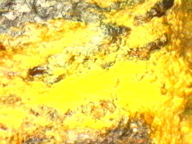 Gold and Platinum Mineral Specimen/ Black Hills South Dakota