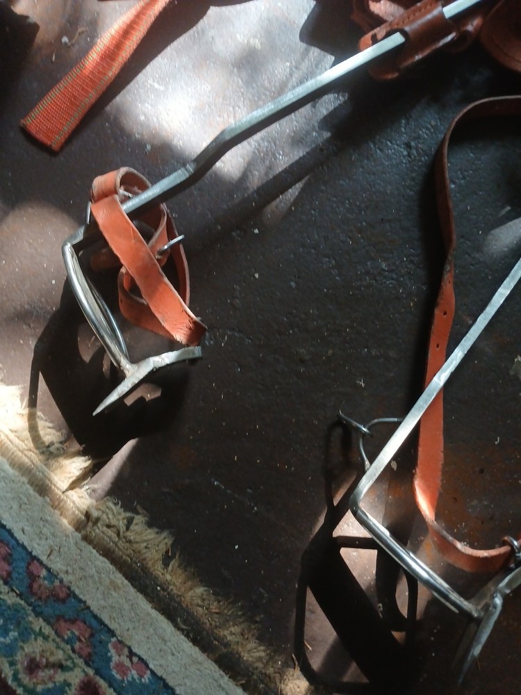 tree climbing gear used