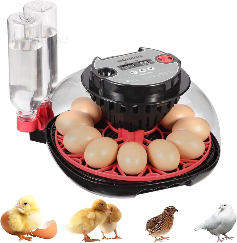 12 Egg Incubator with Automatic Turning, Humidity 12 Pro