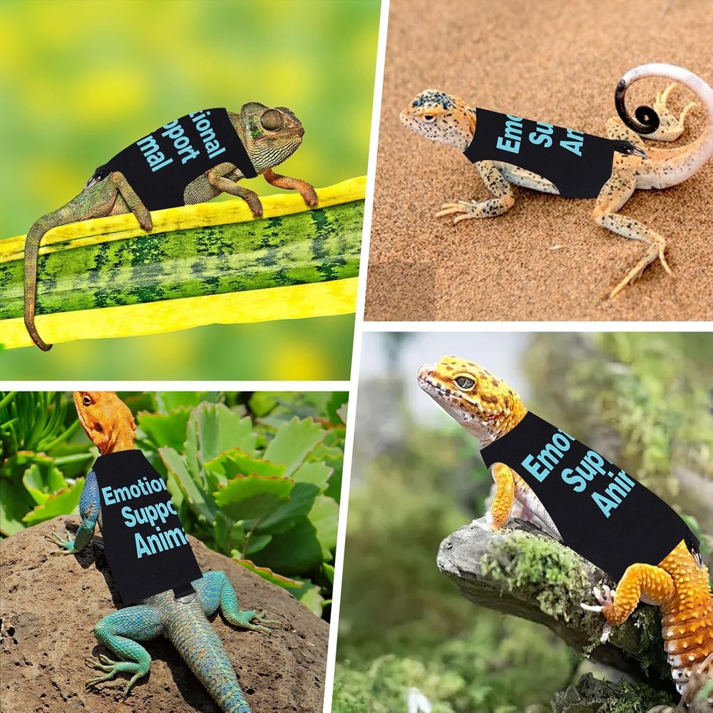 Bearded Dragon Harness and Leash Set Adjustable Reptile Lizard Medium, Blue