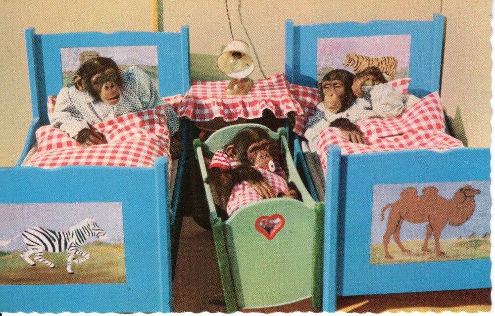MONKEYS IN CRIBS  - PC2044