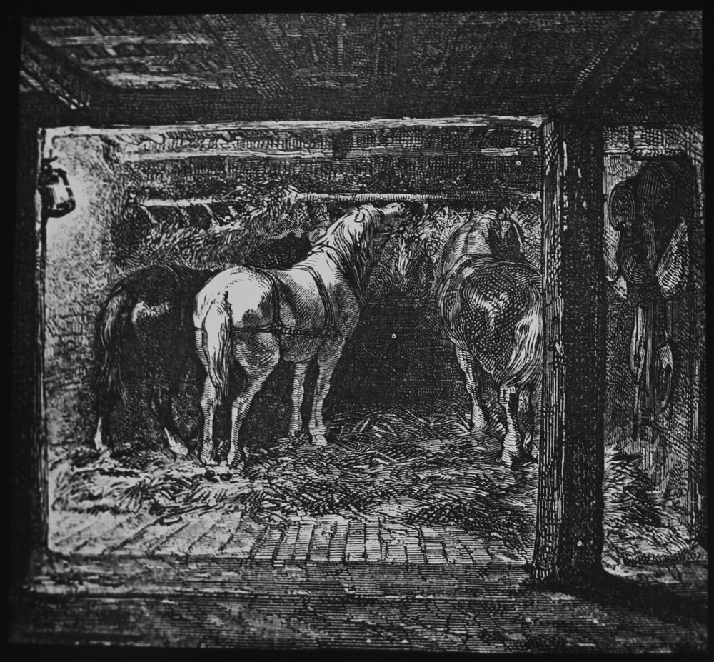 COAL MINING : A STABLE IN A MINE C1875 VICTORIAN Magic Lantern Slide
